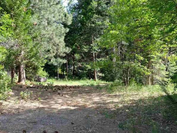057-512-260 McCloud Ave, Mount Shasta, CA 96067