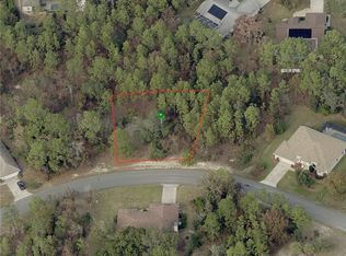 8 Paw Paw Ct S, Homosassa, FL 34446
