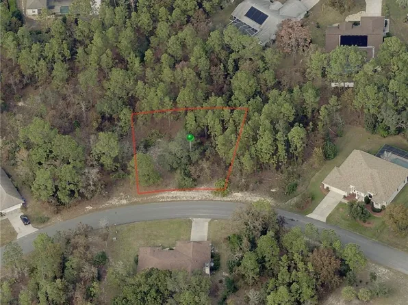 8 Paw Paw Ct S, Homosassa, FL 34446