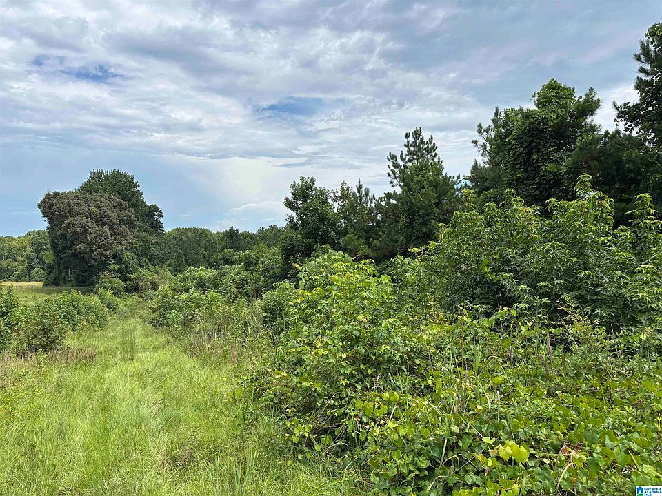 1st image of County Road 65 #1