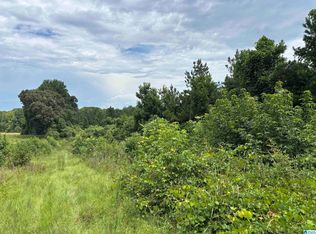 County Road 65 #1, Wadley, AL 36276