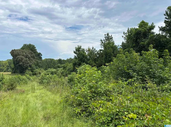 County Road 65 #1, Wadley, AL 36276