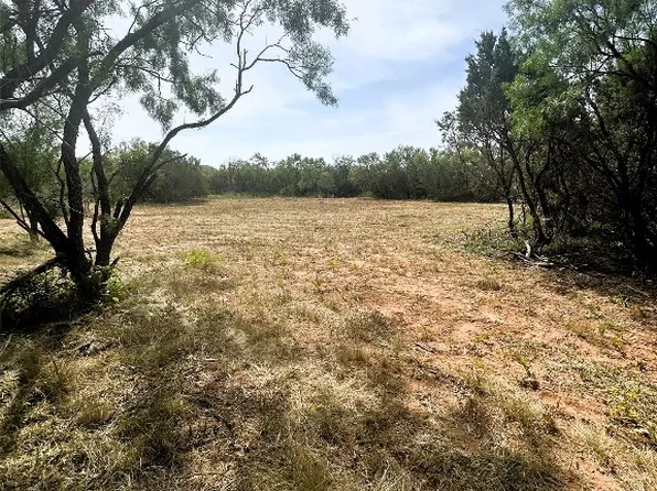 1209 County Road 127, Tuscola, TX 79562