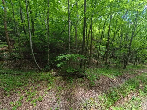 195 Sherwood Ln, Harriman, TN 37748