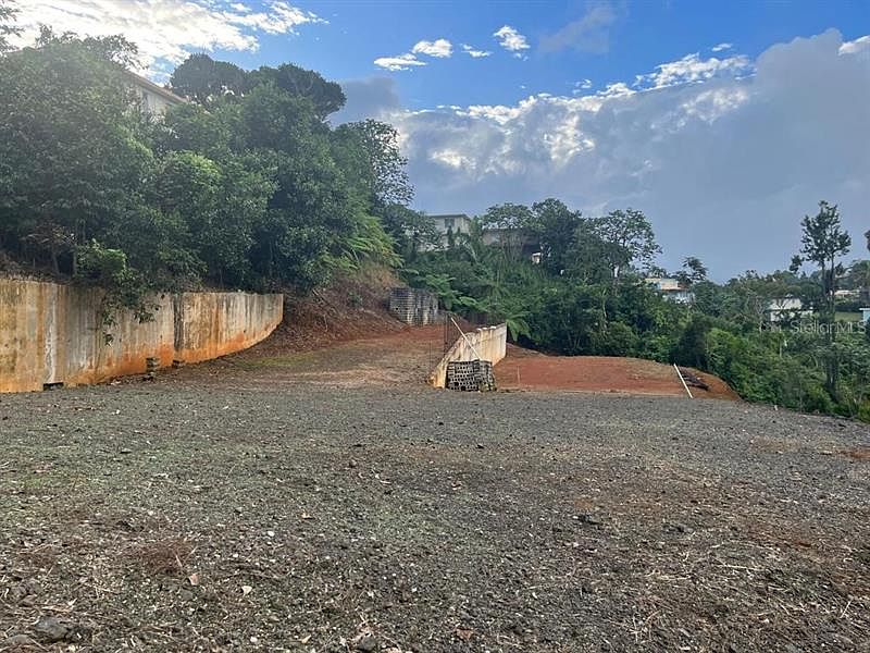 Barrio Cedro Arriba, Naranjito, PR 00719 MLS PR9097639 Zillow
