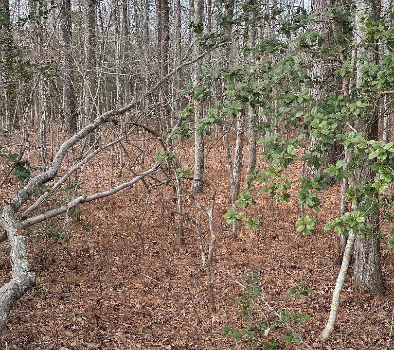 2nd image of LOT-163A Erica Rd