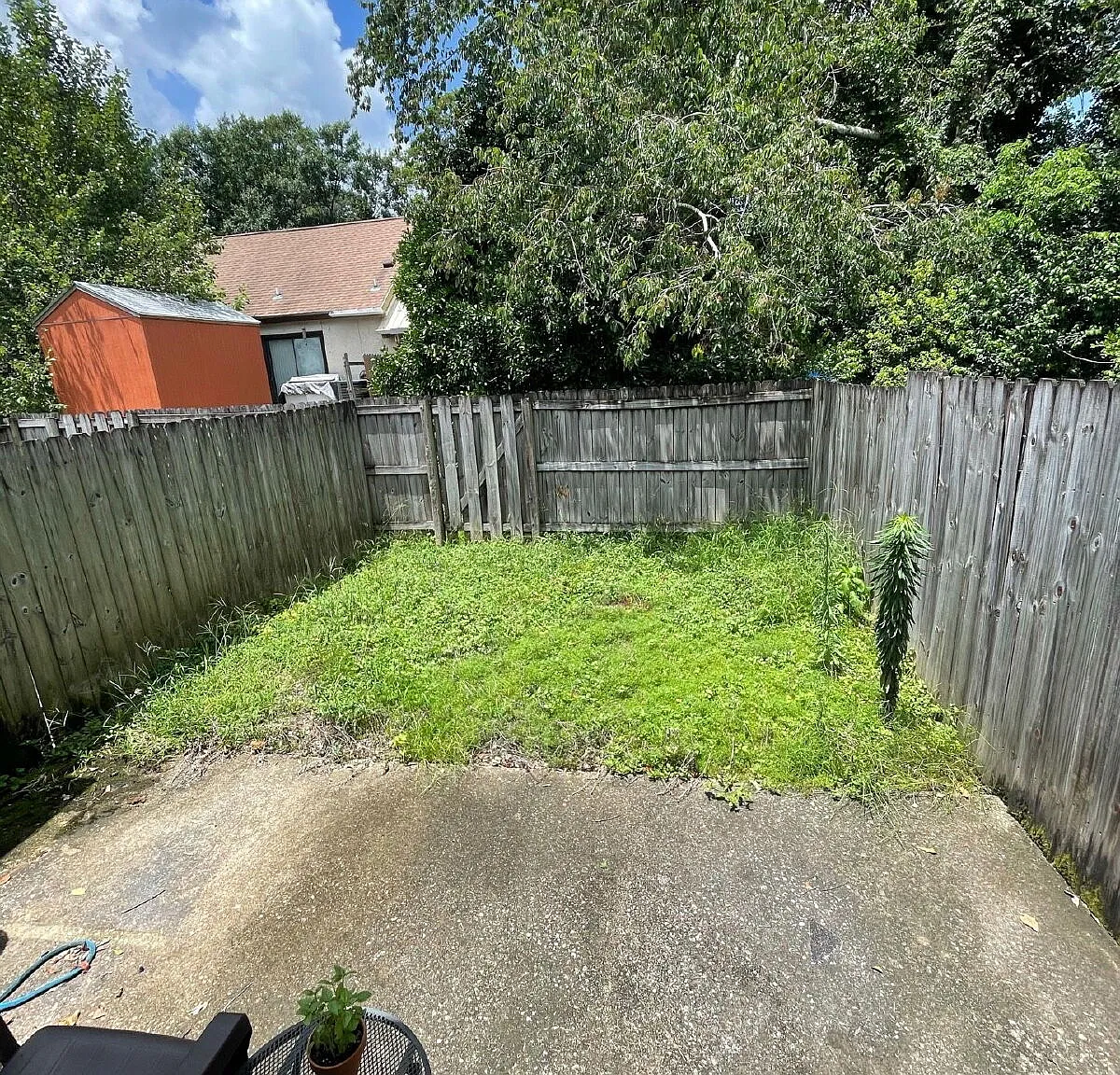 1 bed, 1.0 bath, 640 sqft, $1,000 — Photo 3