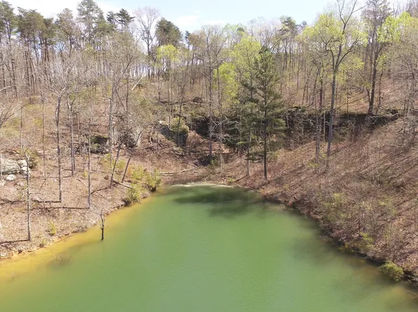 LOT 41 Osprey Ave, Arley, AL 35541