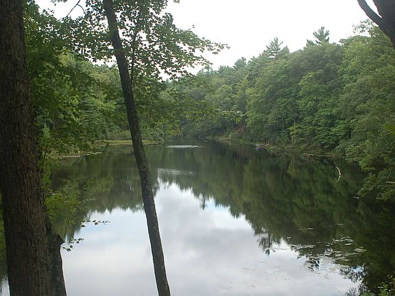 4th image of 9300 Mill Pond Trl