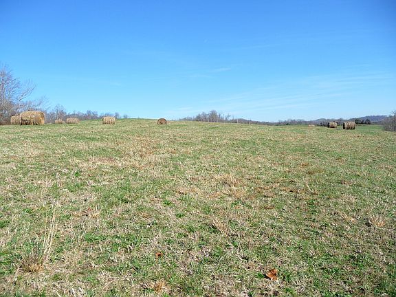 3rd image of 226 Shelby Loop