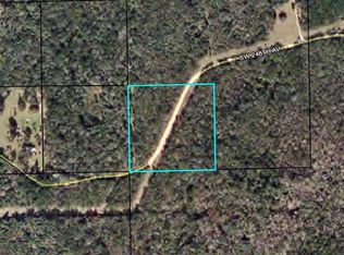SW 248th Ave, Steinhatchee, FL 32359