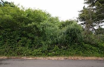 1st image of 340 Clover Creek Ave NW