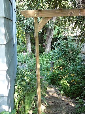 side view from front