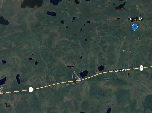 Trac 13 Aklandsurvey 2009 #46, Chitina, AK 99566