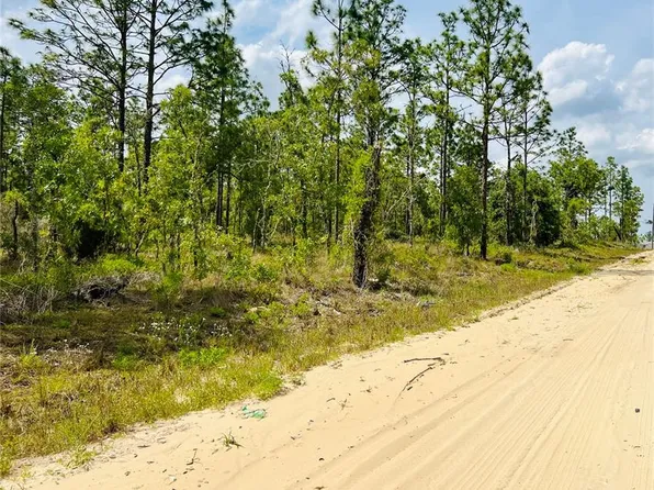 0 NE 132nd Ter Lot 2, Williston, FL 32696