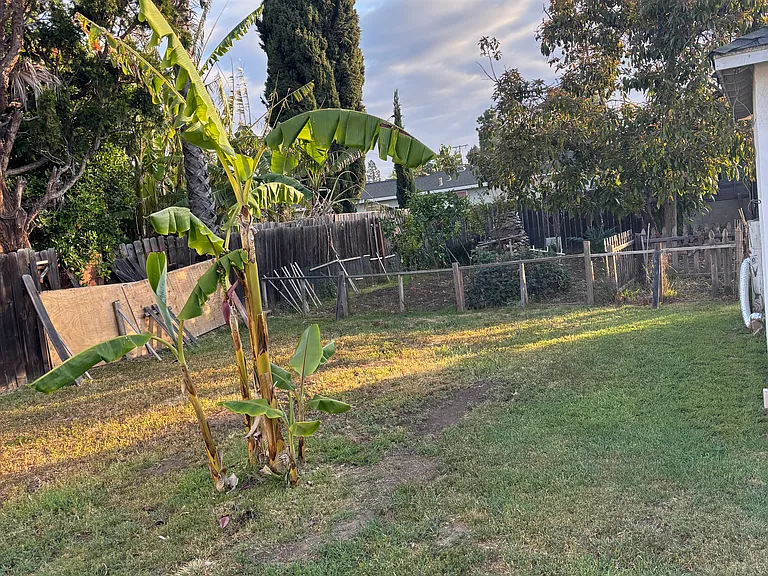 Spacious backyard oasis with mature landscaping, ample open space, and a detached garage that includes laundry facilities.