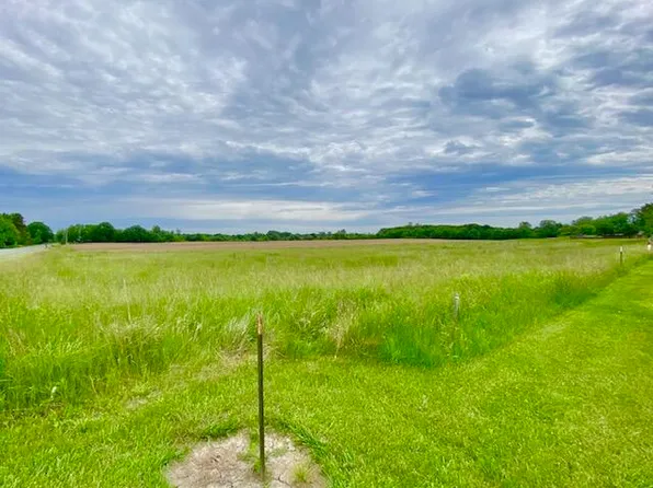 0 Wacousta Rd, Dewitt, MI 48820