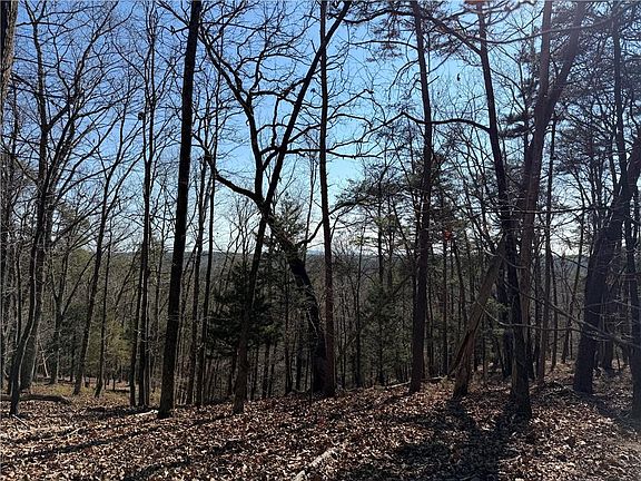 2nd image of 0 Brookshire Rd NE #1