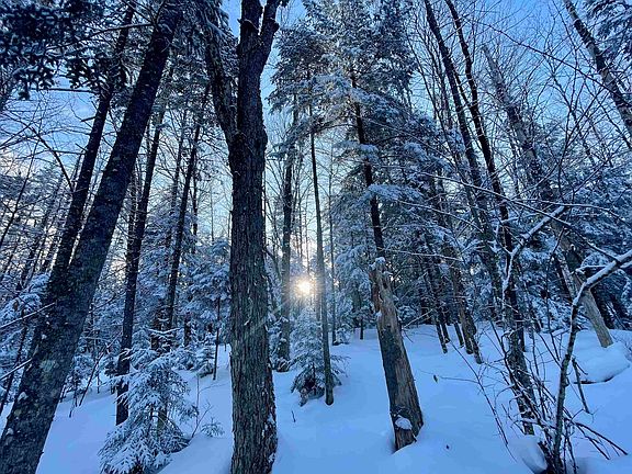 3rd image of 00 Mountain Road