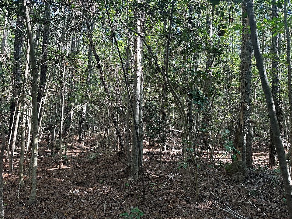 2nd image of 0 Browns Store Rd