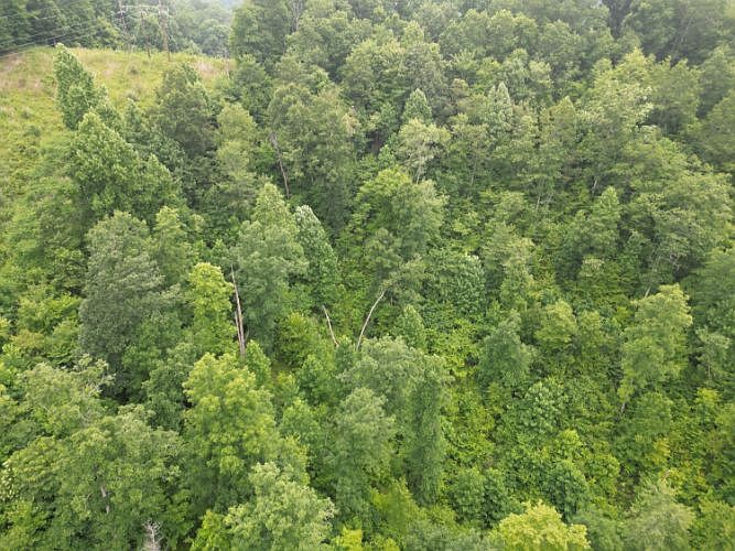 1st image of 9911 Big Wildcat Rd