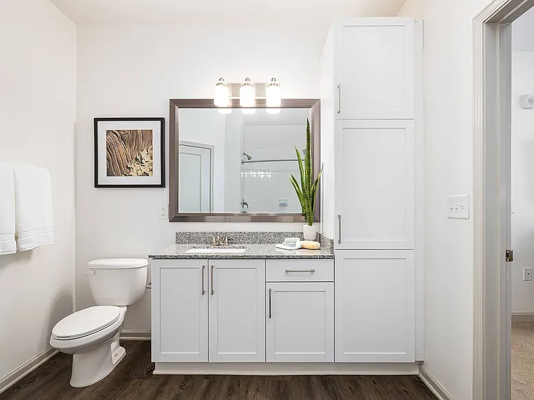 Large Bathrooms