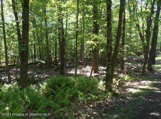 Shiny Mountain Rd, Moscow, PA 18444