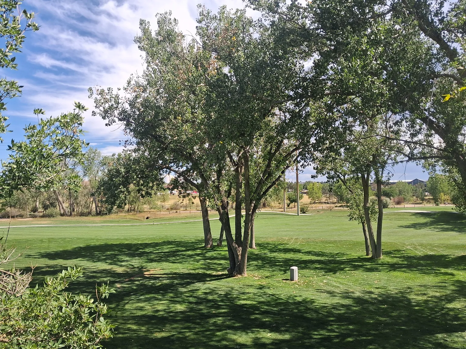 2 bed, 1278 sqft, $1,100 — Photo 2