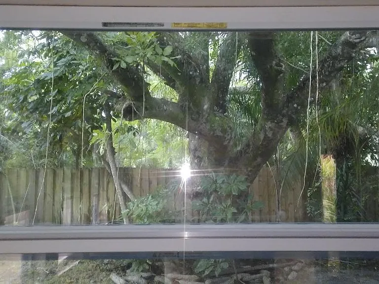 unit 100 view to garden