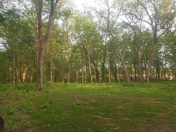 3rd image of Orchid Ln