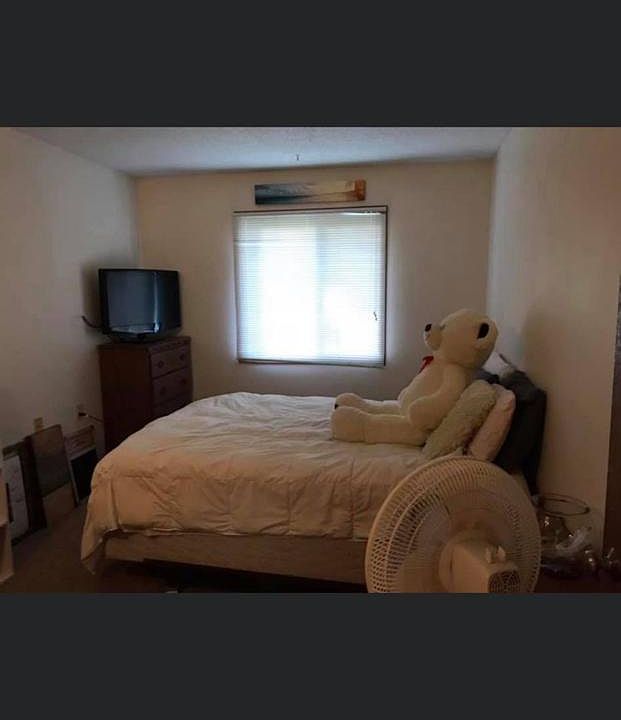 2nd image of 420 Cedar St APT 74