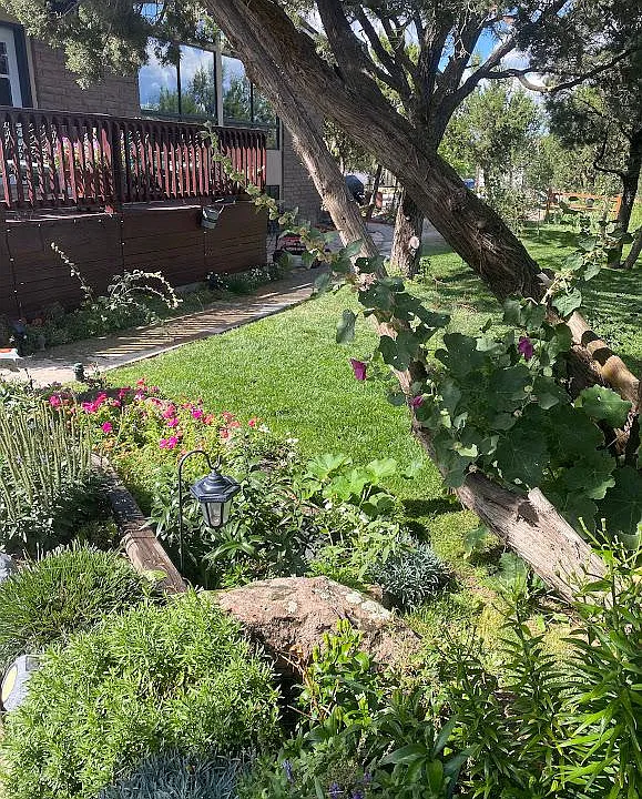 Side yard view