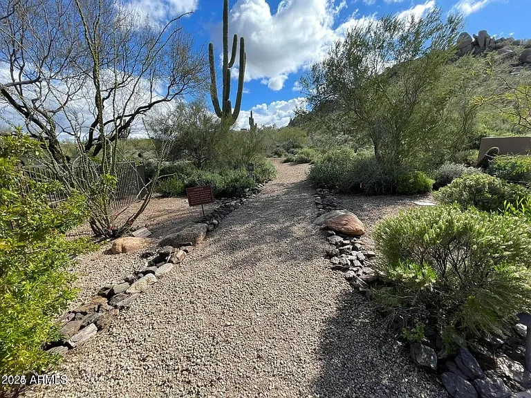 7439 E Camino Rayo De Luz — Photo 46