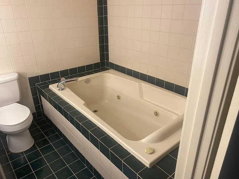 Master Bathroom Jacuzzi Tub