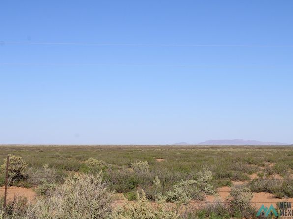 Primrose Ln NE, Deming, NM 88030