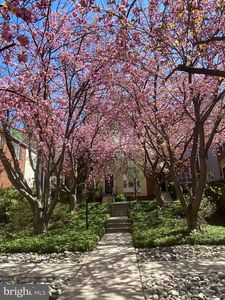 4833 Willett Pkwy #78, Chevy Chase, MD, 20815