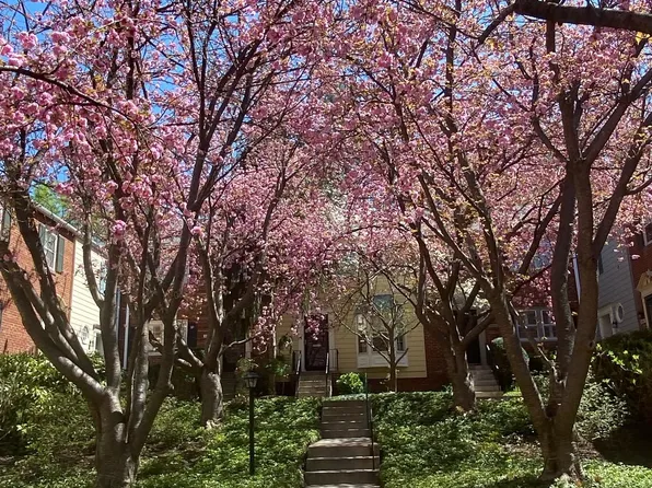 4833 Willett Pkwy #78, Chevy Chase, MD 20815