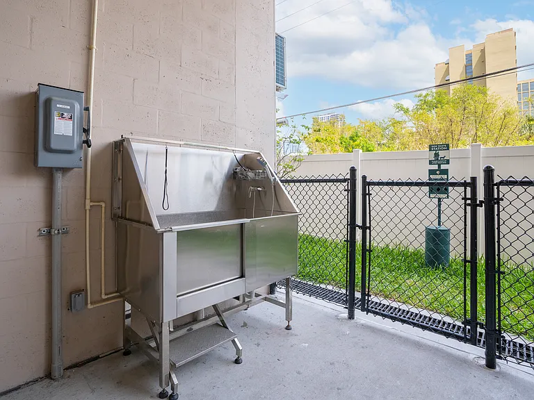 Dog Washing Station