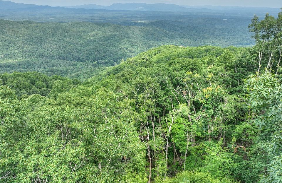 LOT 36 Utana Bluffs Trl, Ellijay, GA 30540 Zillow