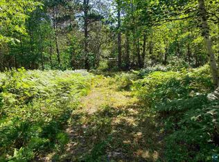 61830 Mason Delta Rd, Mason, WI 54856