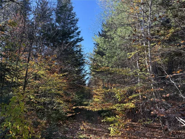 0 Stormy Hill Rd #18, Cold Brook, NY 13324