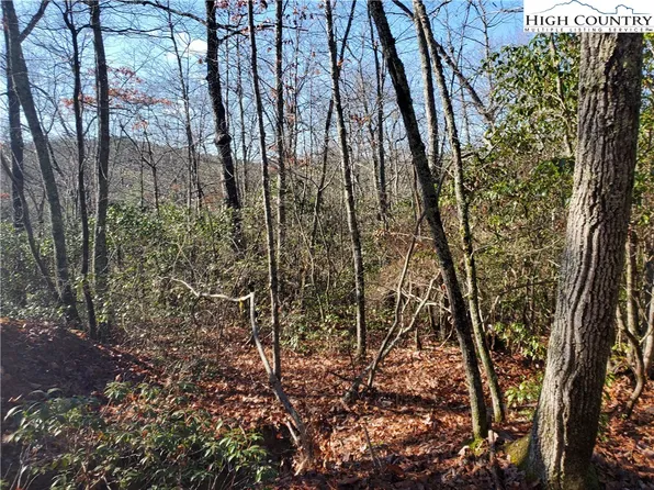 Lots 1/1A Cranberry Woods Drive, Fleetwood, NC 28626