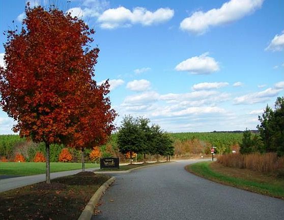 4th image of 3861 Mill Mount Ct