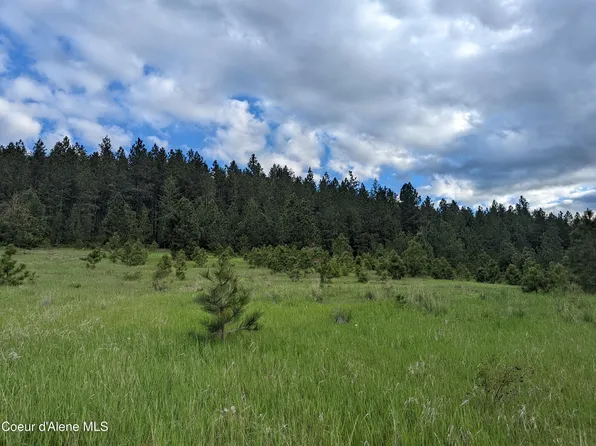 2614 Desmet Rd, Desmet, ID 83824