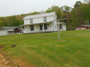 134 Lattimer St, Reedy, WV 25270