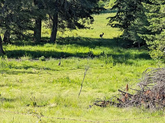 4th image of PARCEL Elk City Wagon Rd #B