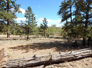 206 Hereford Dr, Hartsel, CO 80449