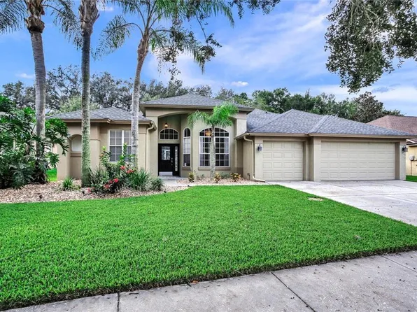 3529 Autumn Glen Dr, Valrico, FL 33596