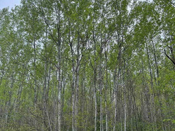 Burrows Lake Rd Lot 2, Tomahawk, WI 54487