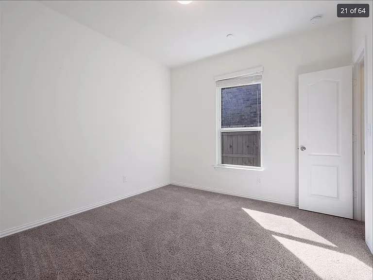 116 Cipressi Cv — Photo 10